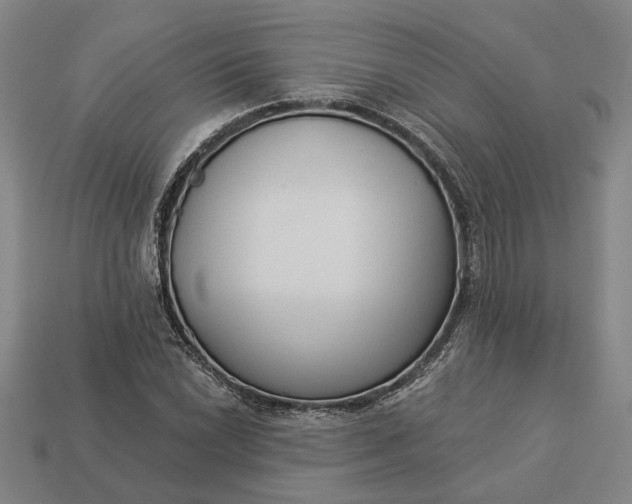 X0000112961022200909101628