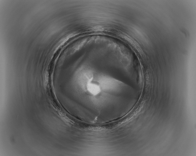 X0000112961023200909101628