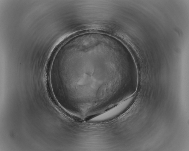 X0000112961024200909101628