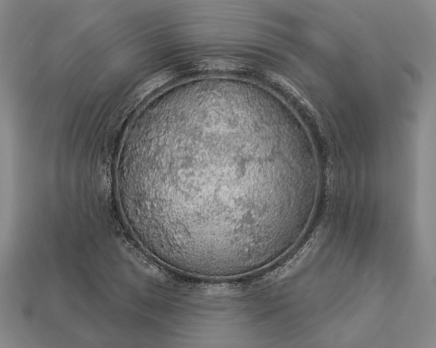 X0000112961025200909101628