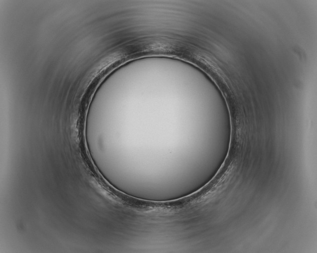 X0000112961026200909101628