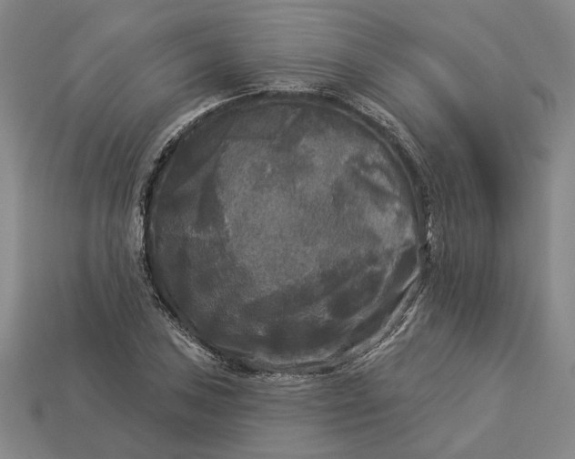 X0000112961027200909101628