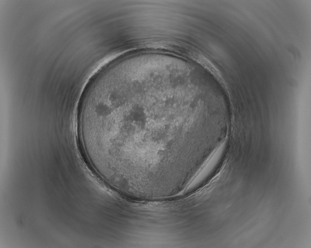 X0000112961028200909101628