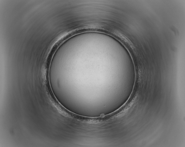 X0000112961029200909101628