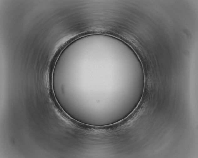 X0000112961030200909101628