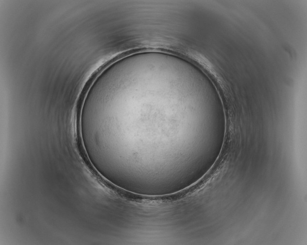 X0000112961032200909101628