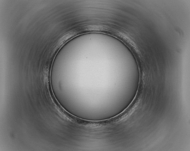 X0000112961033200909101628