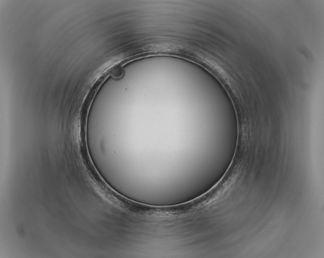 X0000112961034200909101628