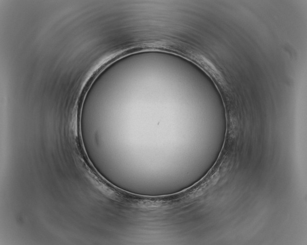 X0000112961036200909101628