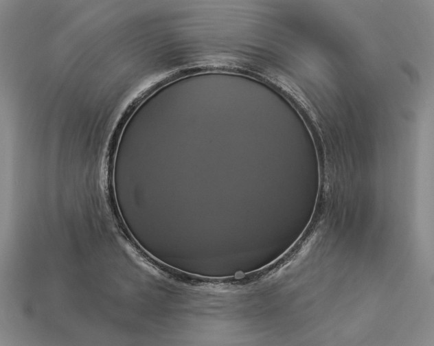 X0000112961037200909101628