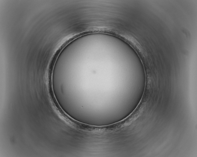 X0000112961038200909101628