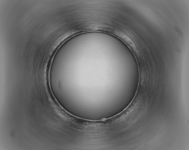 X0000112961039200909101628