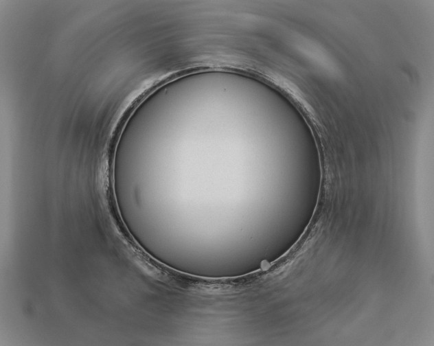 X0000112961040200909101628