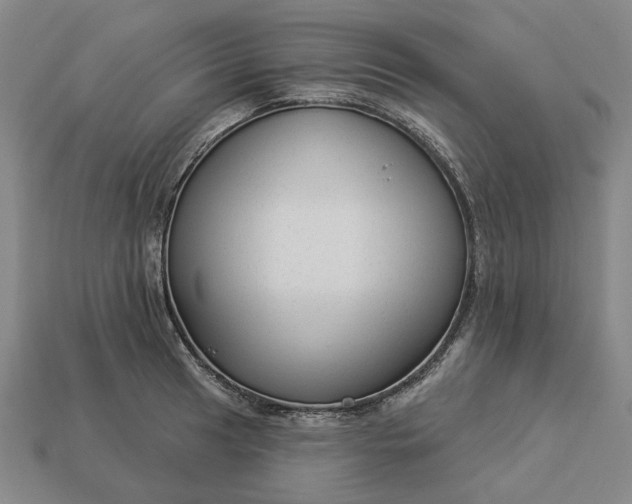 X0000112961041200909101628