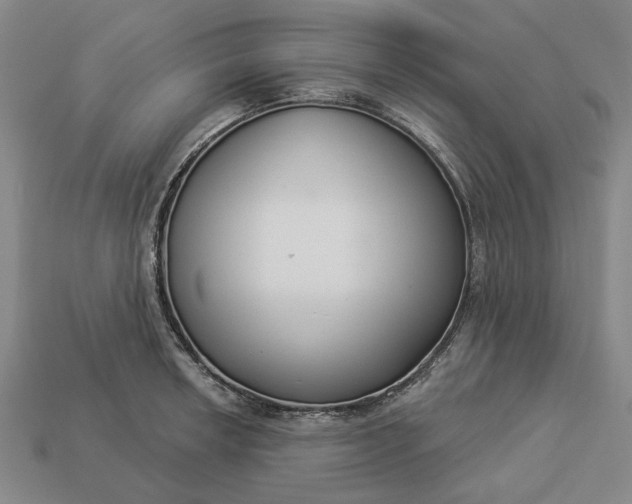 X0000112961042200909101628