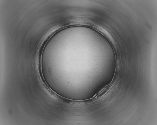 X0000112961043200909101628