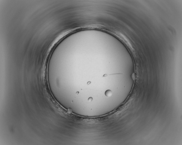 X0000112961044200909101628