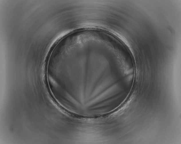 X0000112961045200909101628