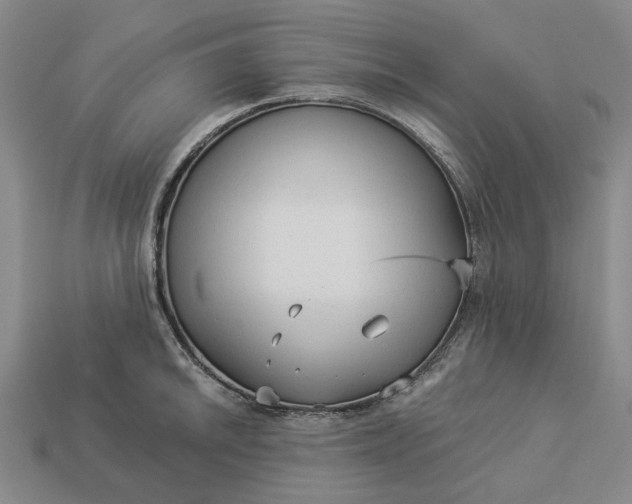 X0000112961046200909101628