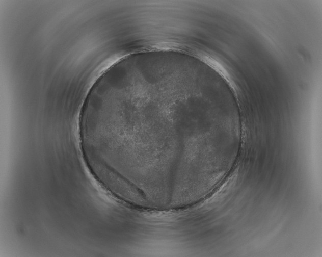 X0000112961047200909101628