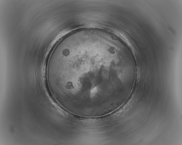 X0000112961048200909101628