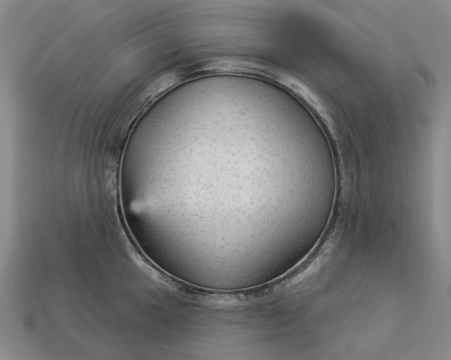 X0000112961049200909101628