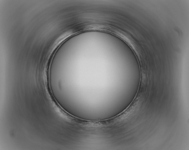 X0000112961050200909101628