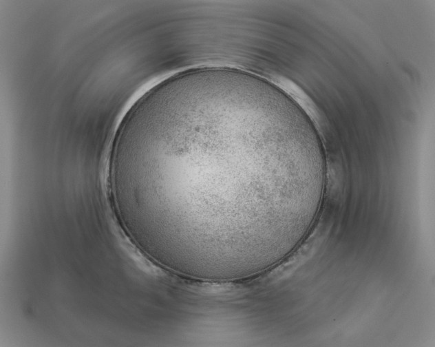 X0000112961052200909101628