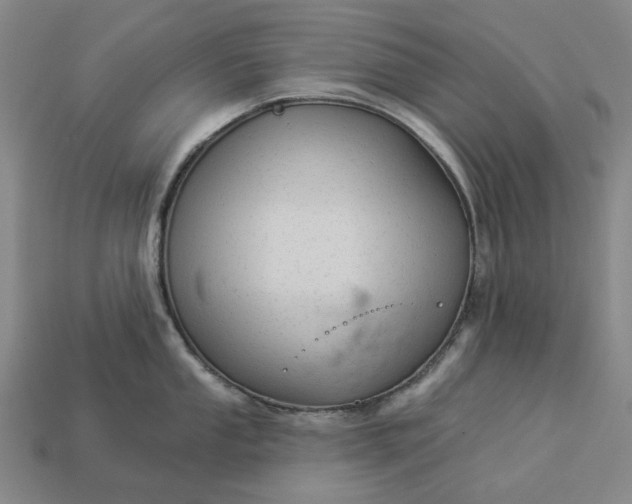 X0000112961053200909101628