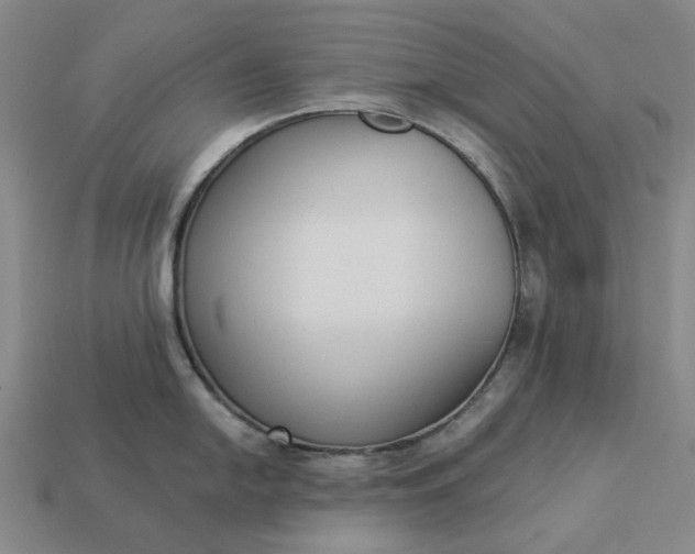 X0000112961054200909101628