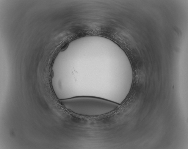 X0000112961057200909101628