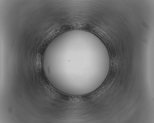 X0000112961058200909101628