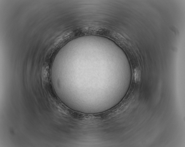 X0000112961059200909101628