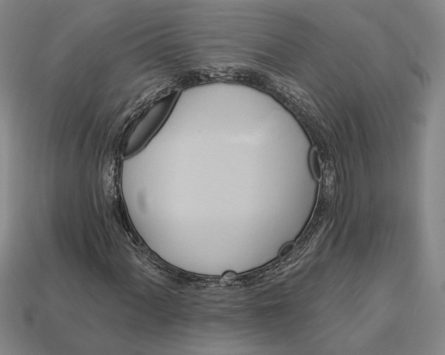 X0000112961060200909101628