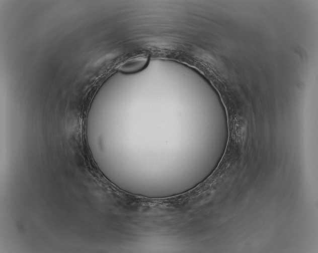 X0000112961061200909101628