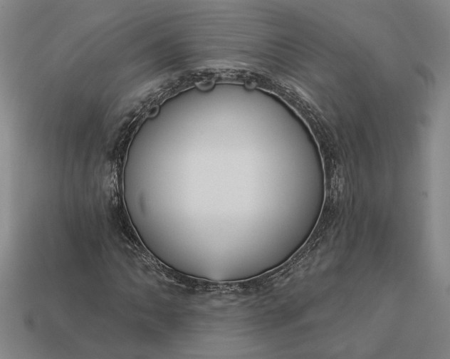 X0000112961062200909101628