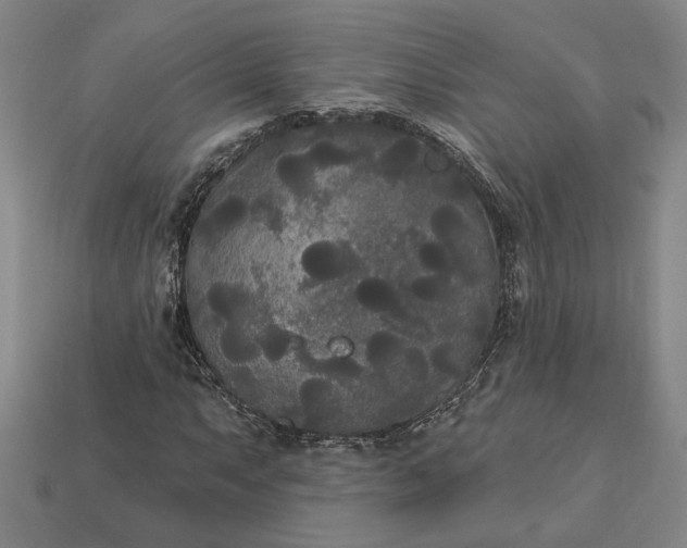 X0000112961063200909101628