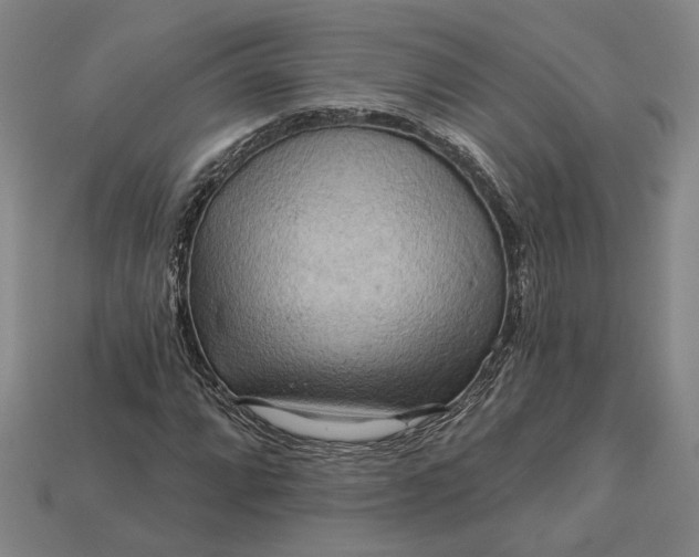 X0000112961064200909101628