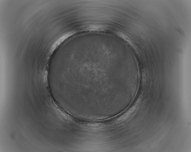 X0000112961066200909101628