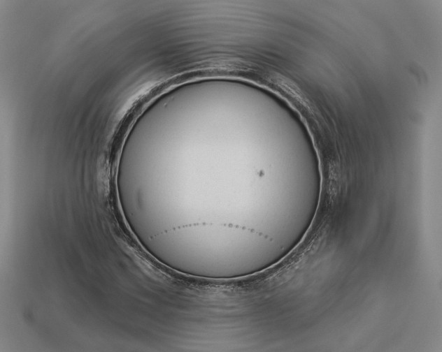 X0000112961067200909101628