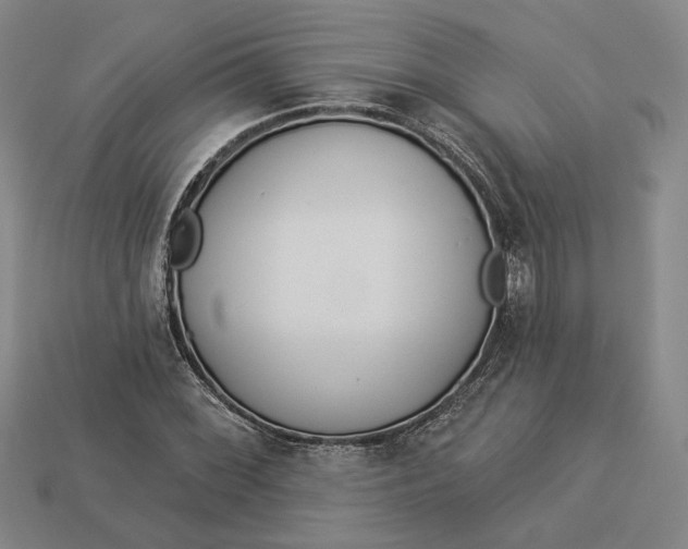 X0000112961068200909101628