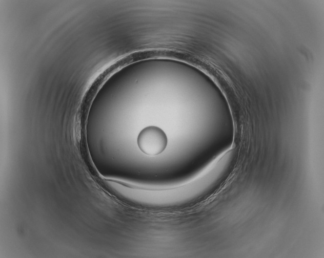 X0000112961069200909101628