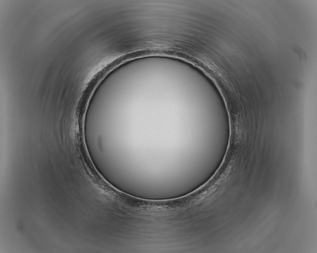 X0000112961070200909101628