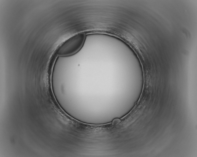 X0000112961072200909101628