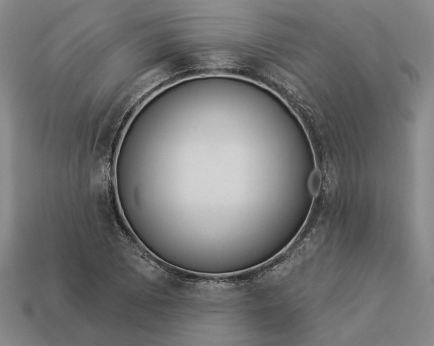 X0000112961073200909101628