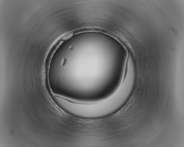 X0000112961076200909101628