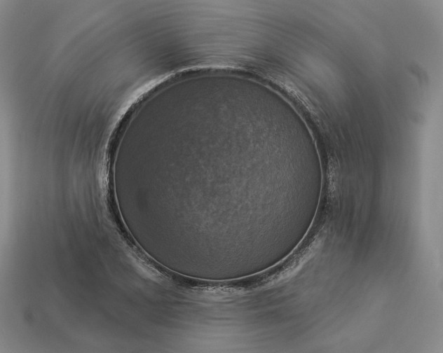 X0000112961077200909101628