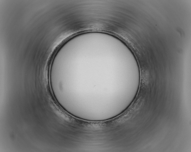 X0000112961078200909101628