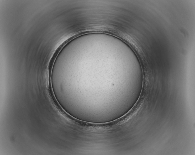 X0000112961079200909101628