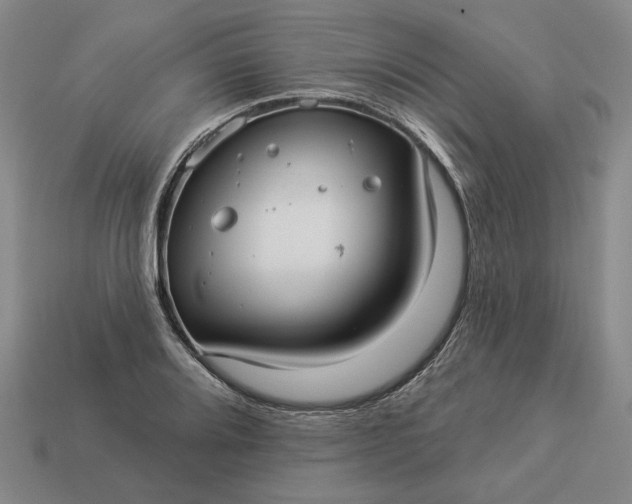 X0000112961080200909101628